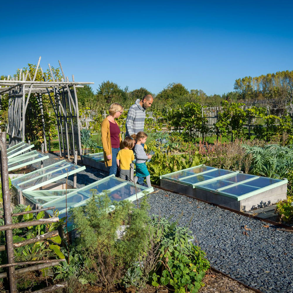 El jardín del contentamiento