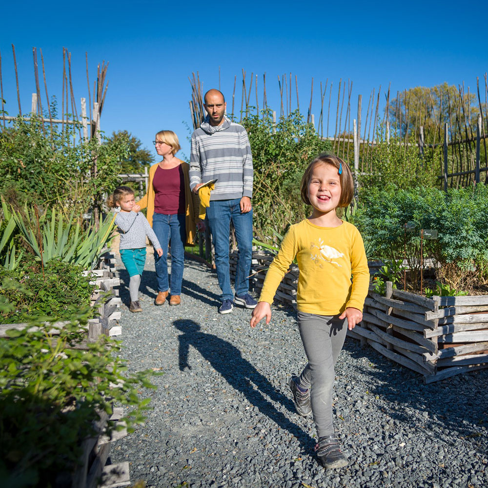 The Medicinal Garden