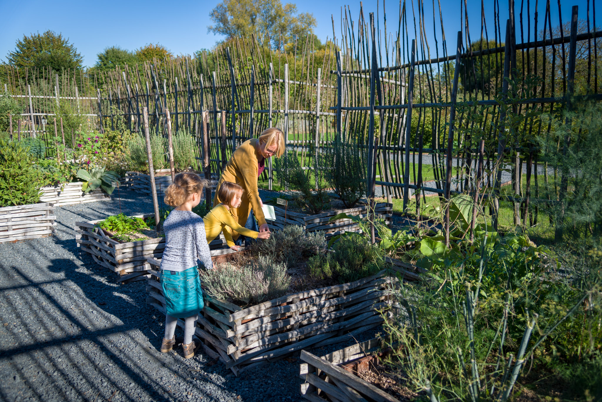 Discovering the ideal vegetable patch