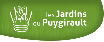 Le musée du champignon à Saumur : plus de 300 espèces de champignon à découvrir dans nos troglodytes