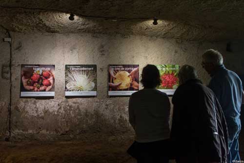 La visite guidée