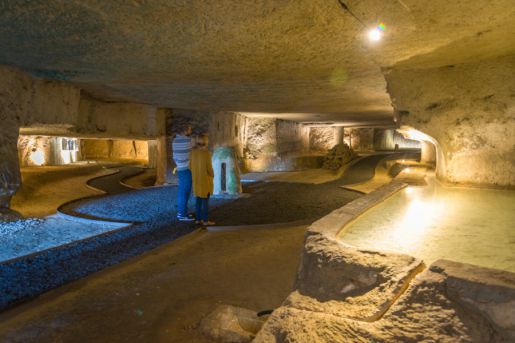 El jardín interior