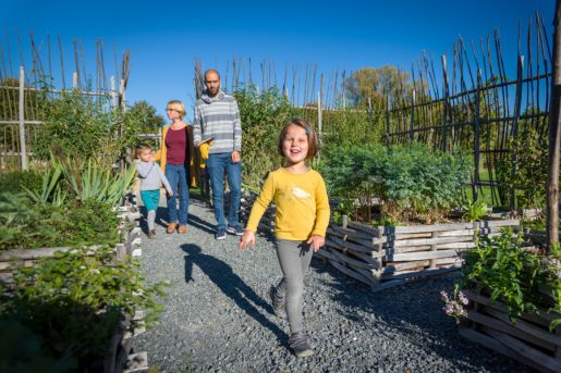 The Medicinal Garden