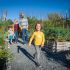 The Medicinal Garden