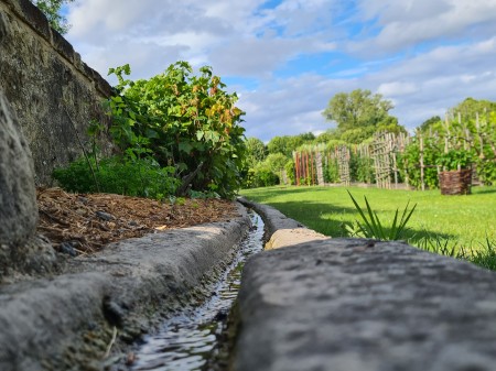 Les rendez-vous au jardin